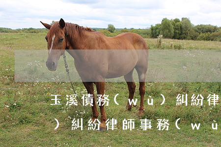 玉溪債務(wù)糾紛律師費用(債務(wù)糾紛律師事務(wù)所收費標準)