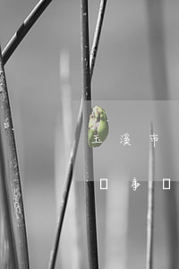 玉溪市離婚訴訟律師多少錢(云南省玉溪市律師事務(wù)所)