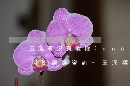 玉溪有沒有債權(quán)債務(wù)糾紛律師咨詢-玉溪權(quán)威發(fā)布
