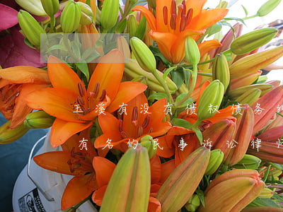 玉溪有没有债权债务纠纷律师推荐-玉溪最有名的民事诉讼律师事务所