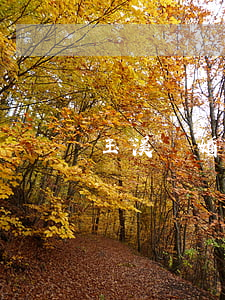 玉溪離婚財產(chǎn)分配律師多少錢