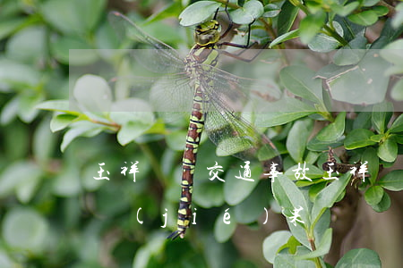 玉祥門縣交通事故(玉祥門隧道交通事故判罰結(jié)果)