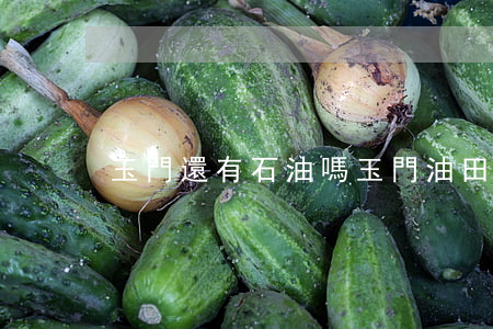 玉門還有石油嗎(玉門油田還有油嗎)
