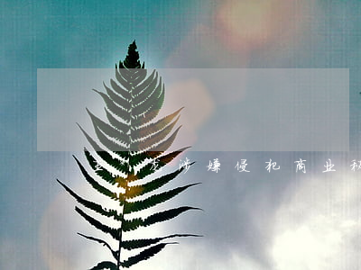 王*龙涉嫌侵犯商业秘密罪无罪释放案