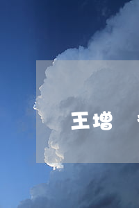 王增強律師怎么樣