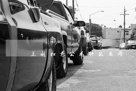 王姬和老公为什么离婚