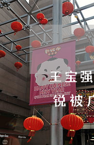 王宝强离婚事件(王宝强离婚事件中宋喆和马锐被广大网友称为什么)