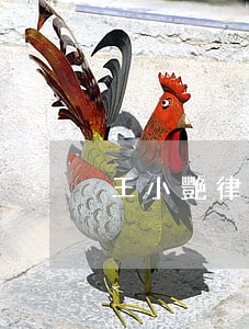王小艷律師(王小艷律師怎么樣)