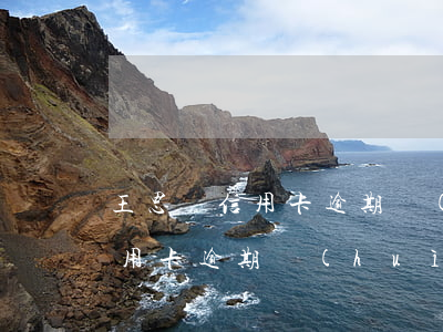 王思聰信用卡逾期會(huì)怎么樣(欠信用卡逾期會(huì)怎么樣)