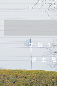 王敏生意周轉(zhuǎn)信用卡逾期(王敏生意周轉(zhuǎn)信用卡逾期)