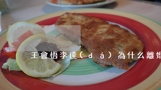 王會悟李達(dá)為什么離婚