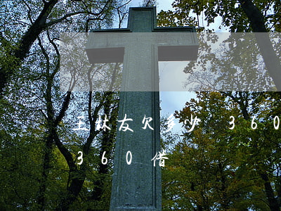 王林友欠多少錢360借條(王林友欠多少錢360借條)