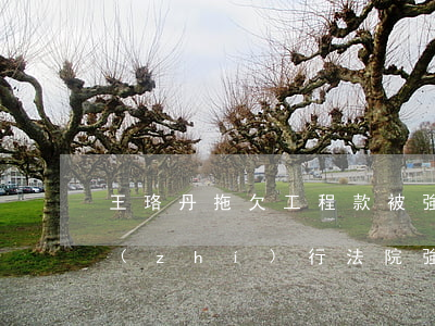 王珞丹拖欠工程款被強(qiáng)制執(zhí)行 法院強(qiáng)制執(zhí)行期限多長(zhǎng)時(shí)間?