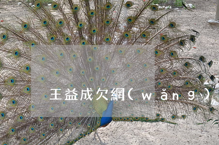 王益成欠網(wǎng)貸不還