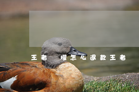 王者榮耀怎么退款(王者榮耀怎么退款皮膚)