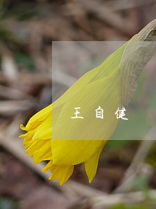 王自健為什么離婚