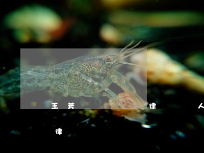 王芳團隊譚嘯律師個人簡介(王芳主持的金牌律師團)