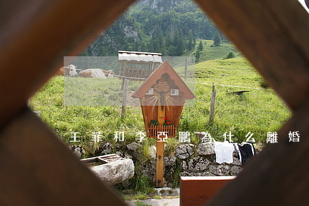 王菲和李亞鵬為什么離婚