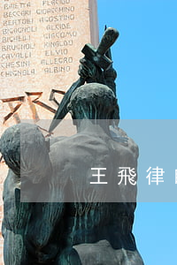 王飛律師個人簡歷(王飛律師個人簡歷江西)