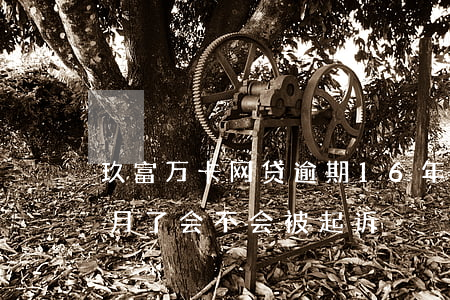 玖富万卡网贷逾期16年(玖富万卡逾期一个月了,会不会被起诉)
