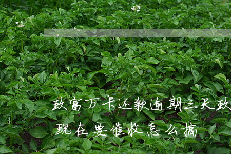 玖富万卡还款逾期三天(玖富万卡逾期两年了现在要催收怎么搞)