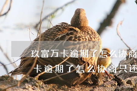 玖富万卡逾期了怎么协商只还本金-玖富万卡逾期了怎么协商只还本金呢