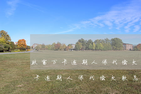 玖富万卡逾期人保代偿欠款怎么还-玖富万卡逾期人保代偿欠款怎么还款