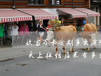 玖富万卡逾期多久消除征信(玖富万卡逾期3天上征信?后果有多严重?)