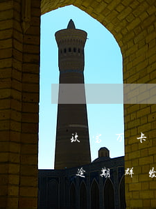 玖富万卡逾期群发信息怎么处理-玖富万卡逾期群发信息怎么处理啊