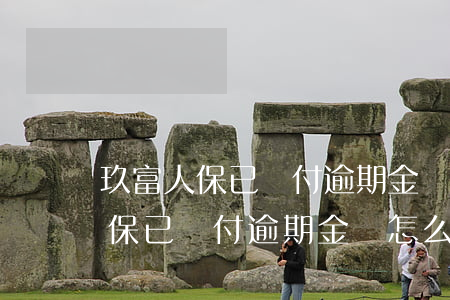 玖富人保已賠付逾期金額怎么還款-玖富人保已賠付逾期金額怎么還款的
