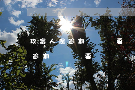 玖富人保逾期沒還說要凍結資產-玖富人保逾期沒還說要凍結資產是真的嗎