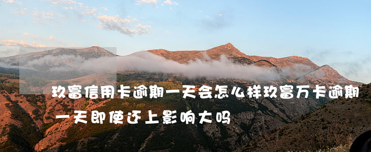 玖富信用卡逾期一天会怎么样(玖富万卡逾期一天,即使还上,影响大吗)