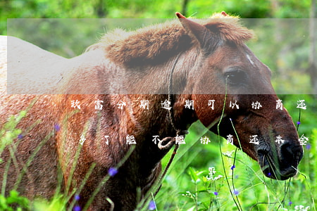 玖富分期逾期可以协商还款吗(玖富逾期两年多了能不能协商还本金)