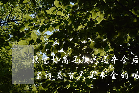 玖富协商还款只还本金后还要求给利息-玖富协商有只还本金的吗