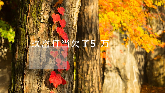 玖富叮当欠了5万