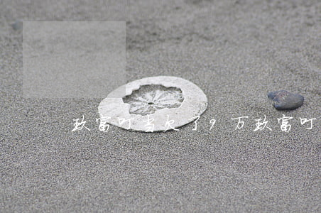 玖富叮当欠了9万(玖富叮当8号已暂停借款)