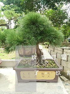 玖富叮當(dāng)逾期催收電話沒完沒了-玖富叮當(dāng)逾期催收電話沒完沒了怎么辦