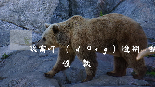 玖富叮當(dāng)逾期還款流程(玖富打電話來催還款)