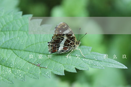 玖富叮當有欠沒還得么(玖富叮當四年沒還了)