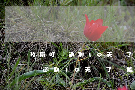 玖富叮當逾期10天還了還能借嗎-玖富叮當逾期10天還了還能借嗎怎么辦