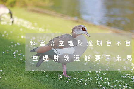 玖富悟空理財逾期會不會血本無歸-玖富悟空理財錢還能要回來嗎?