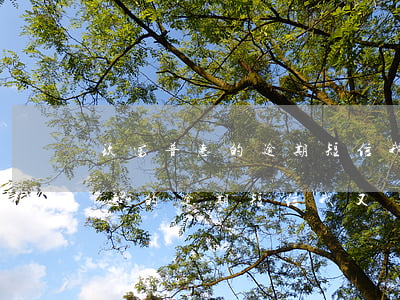 玖富普惠的逾期短信我又沒借過錢-玖富普惠的逾期短信我又沒借過錢是真的嗎