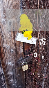 玖富發(fā)信息過來告知逾期上報(bào)征信-玖富發(fā)短信說要上征信