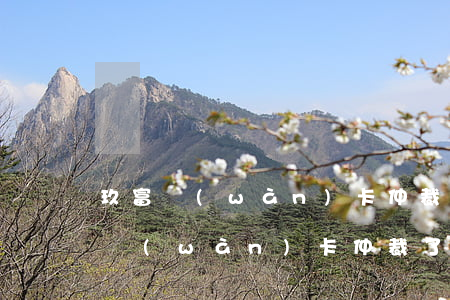 玖富萬(wàn)卡仲裁法律支持嗎(被玖富萬(wàn)卡仲裁了還是沒(méi)有錢還怎么辦)