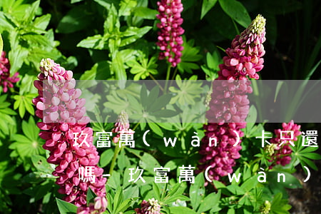 玖富萬(wàn)卡只還本金不還利息可以嗎-玖富萬(wàn)卡只還本金不還利息可以嗎