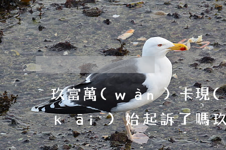 玖富萬(wàn)卡現(xiàn)在開(kāi)始起訴了嗎(玖富萬(wàn)卡法院判決案件)