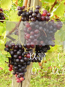 玖富萬(wàn)卡逾期4天中間還了300-玖富萬(wàn)卡逾期4天中間還了300多