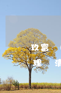 玖富萬(wàn)卡逾期保險(xiǎn)理賠清收方是誰(shuí)-我玖富萬(wàn)卡逾期了,保險(xiǎn)給理賠了,我該怎么做