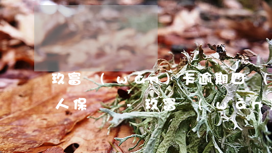 玖富萬(wàn)卡逾期四個(gè)月被人保償還-玖富萬(wàn)卡逾期四個(gè)月被人保償還了