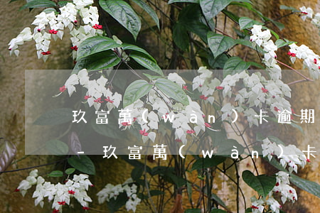 玖富萬(wàn)卡逾期快一年了上征信嗎-玖富萬(wàn)卡逾期快一年了上征信嗎有影響嗎